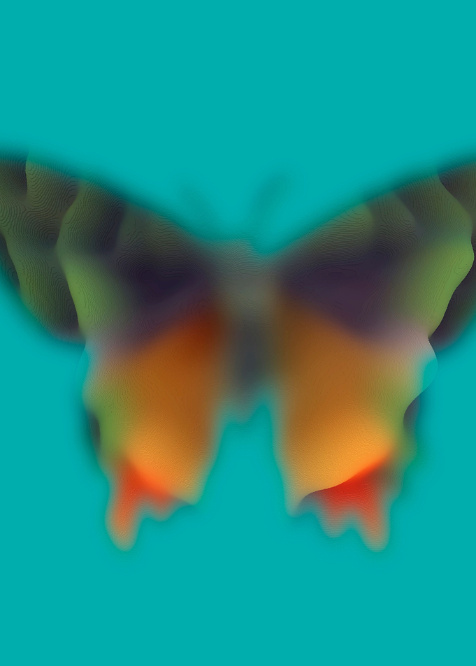 Butterflies