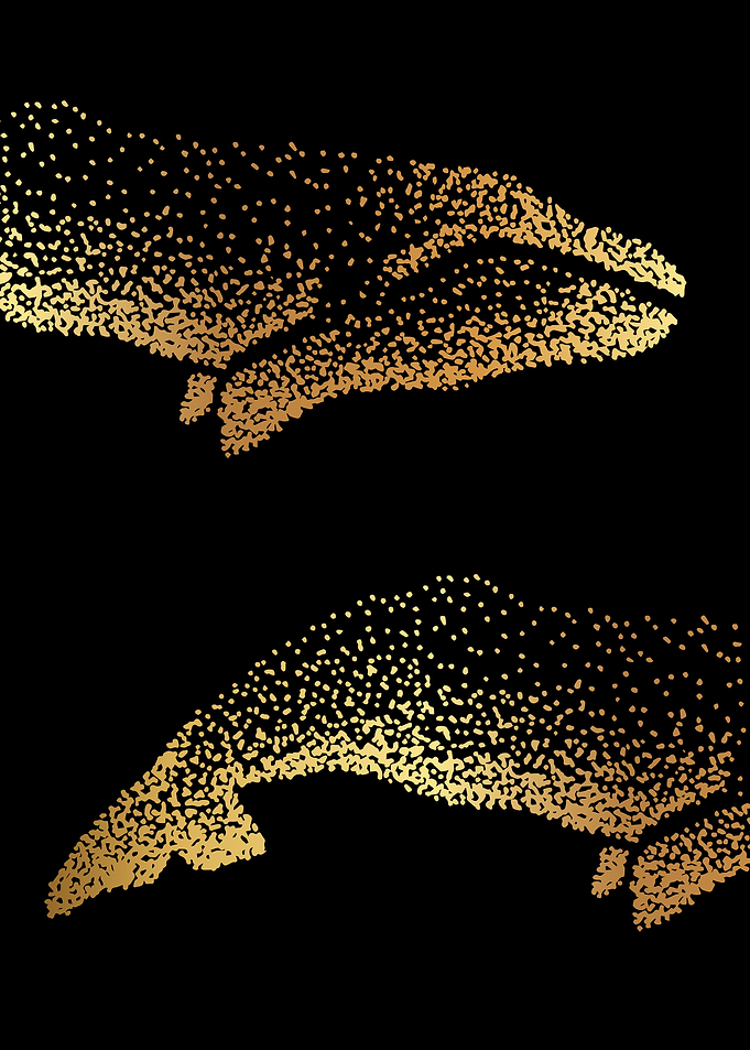 Gold Whale 13