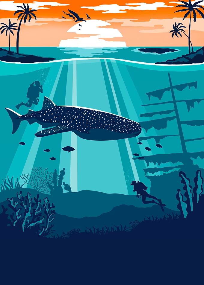 Ocean Travel