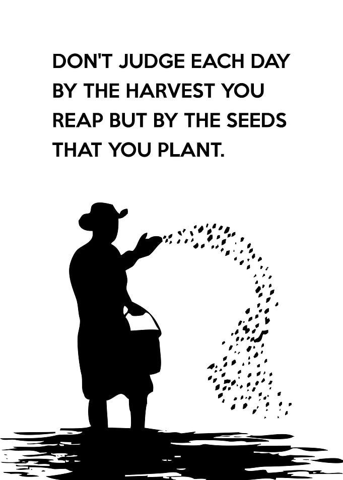 Just Sow the Seeds RLS