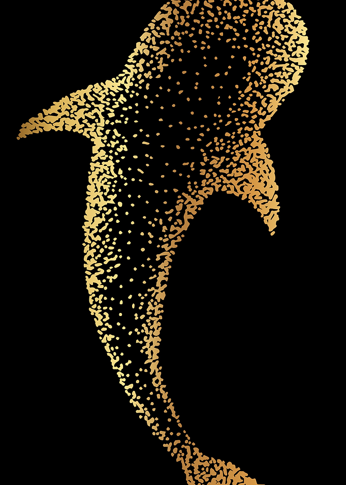 Gold Whale 24