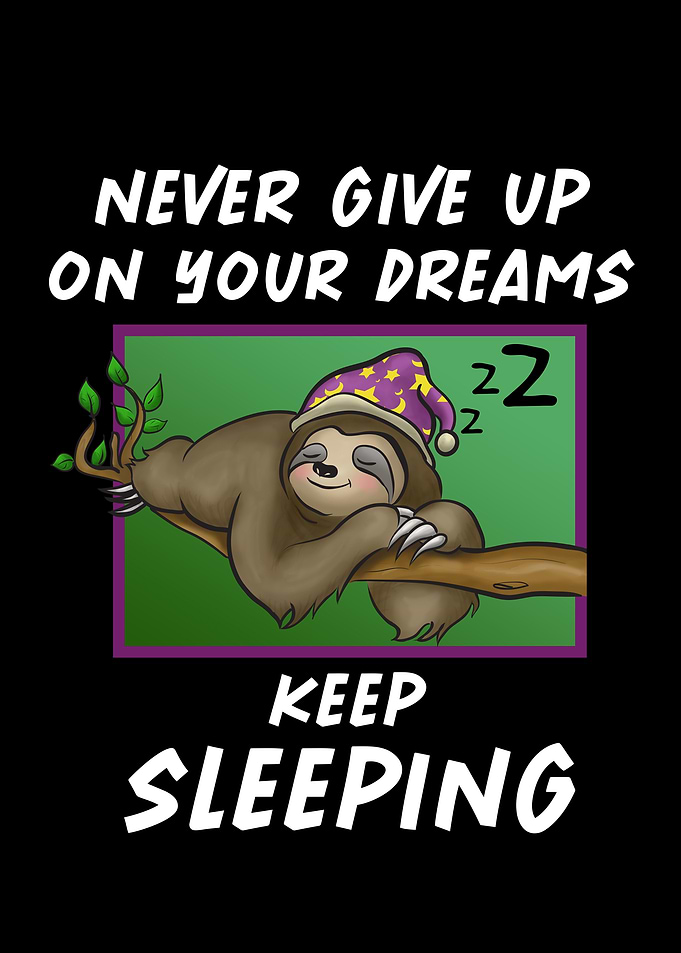 sloth is sleeping gift