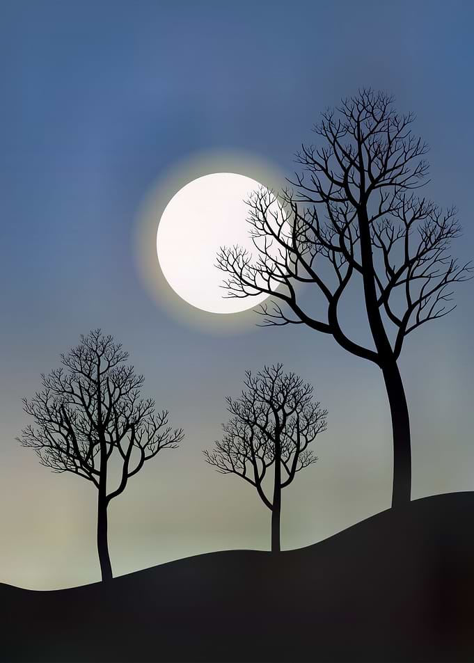 tree on the hill art