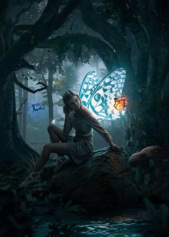 Fairies Forest