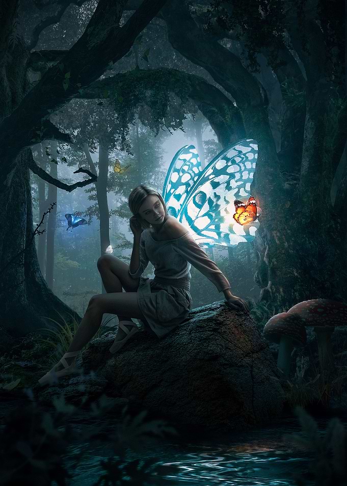 Fairies Forest