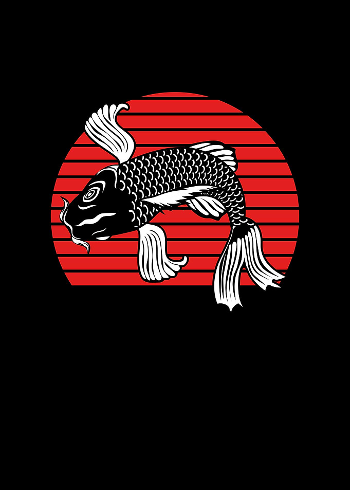 Koi carp with sun