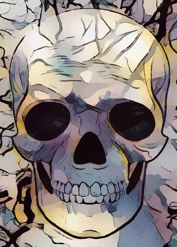 Skull