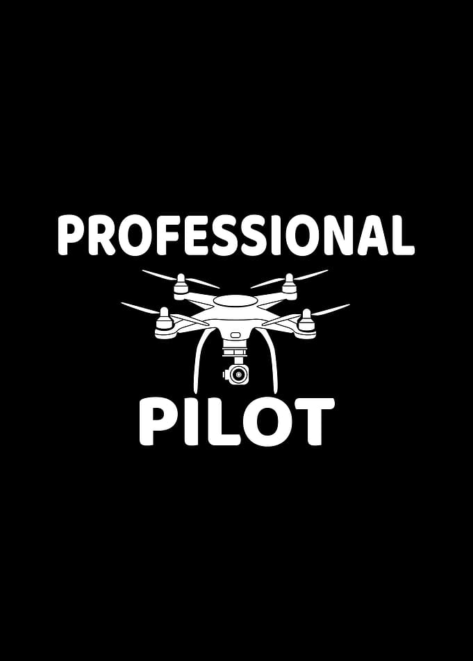 Professional pilot