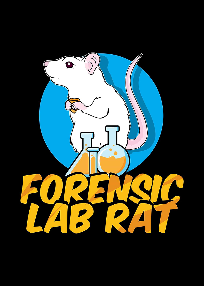 Rat Rodent Rats