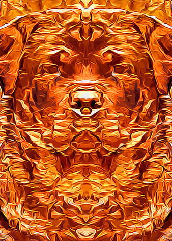 Rottweiler Gold
