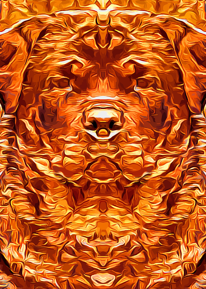Rottweiler Gold