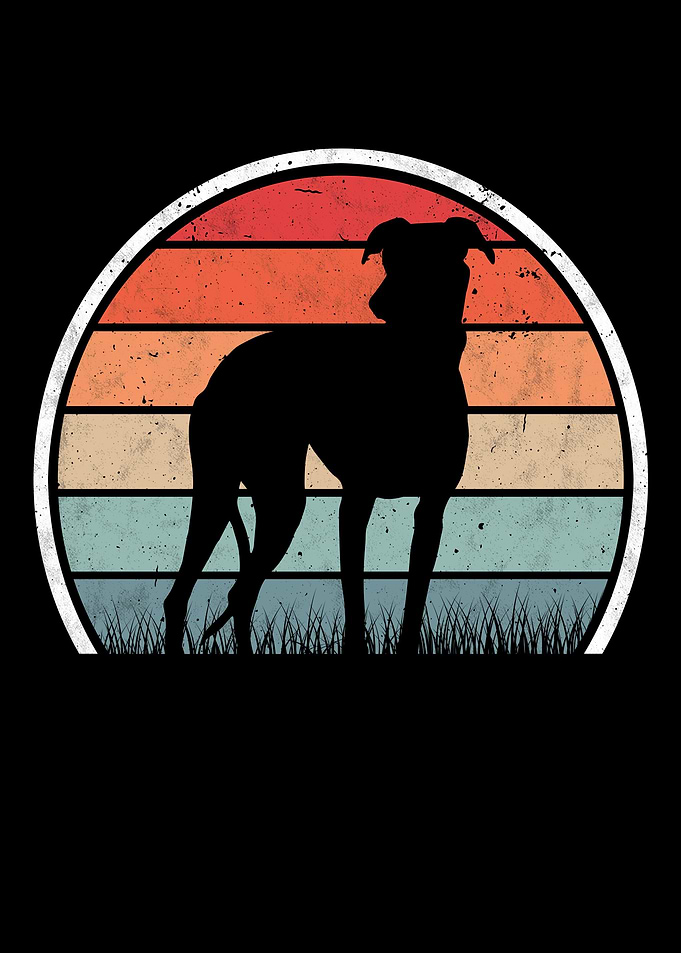 Greyhound Retro British