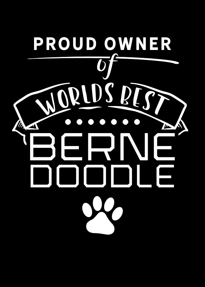 doodle Owner