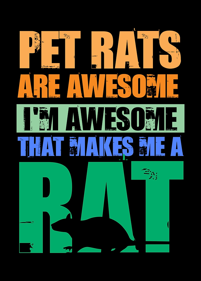 Rat Rodent Rats