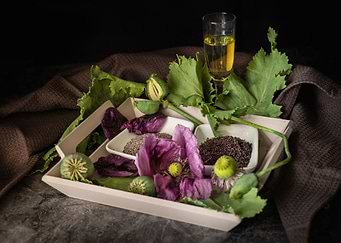 Poppy flower seed and oil
