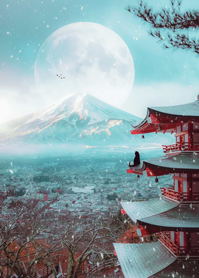 Black Cat and Mount Fuji