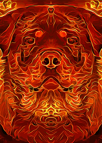 Rottweiler Burning