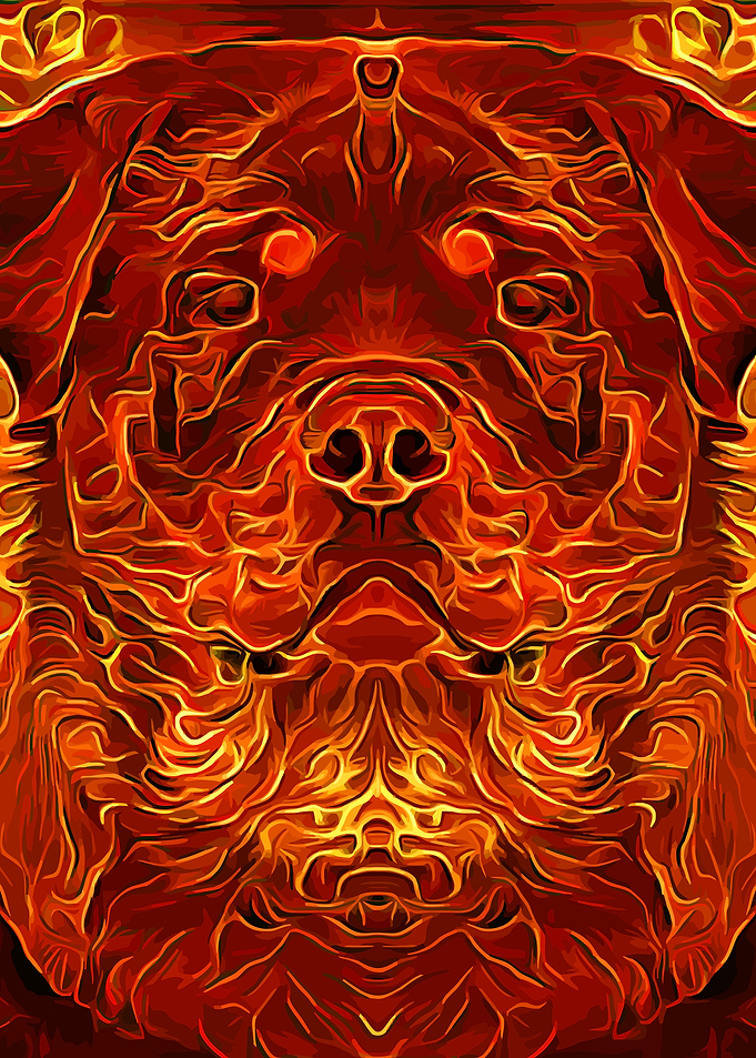 Rottweiler Burning
