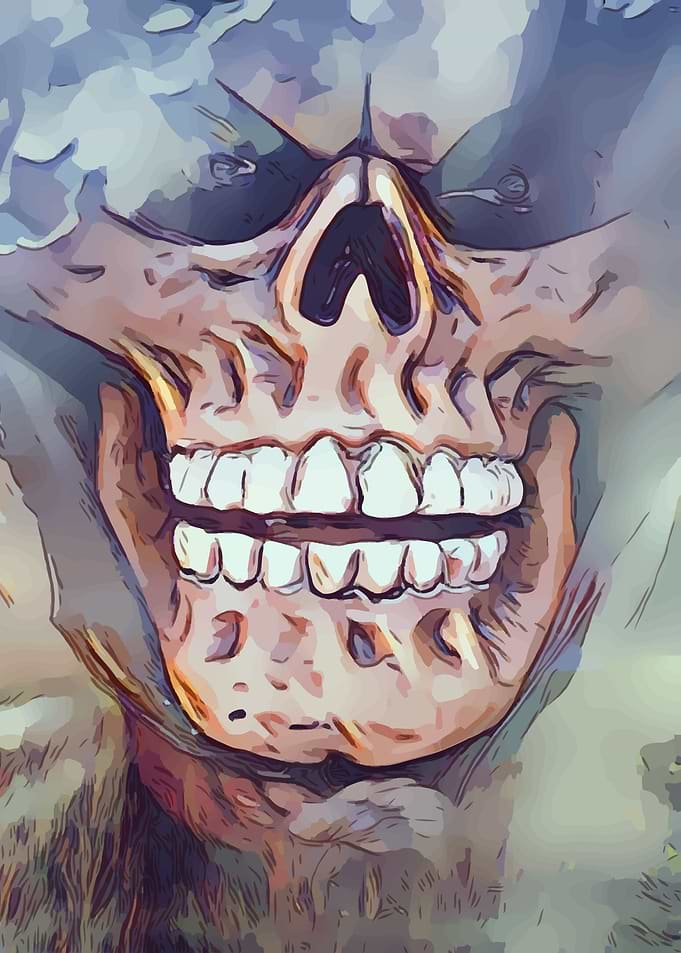 Skull