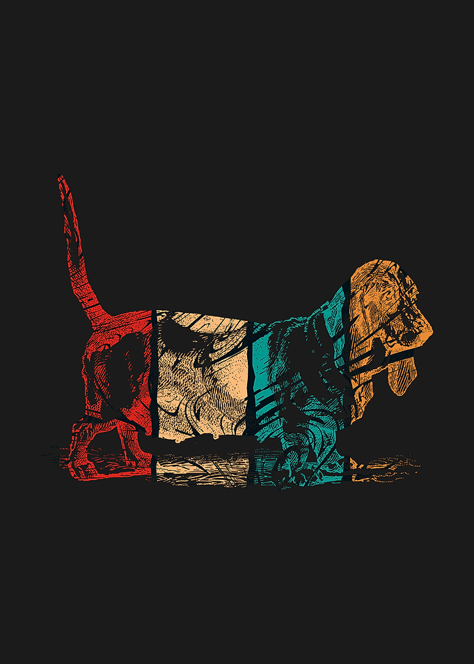 Dachshund Animal