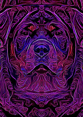 Rottweiler Fantasy