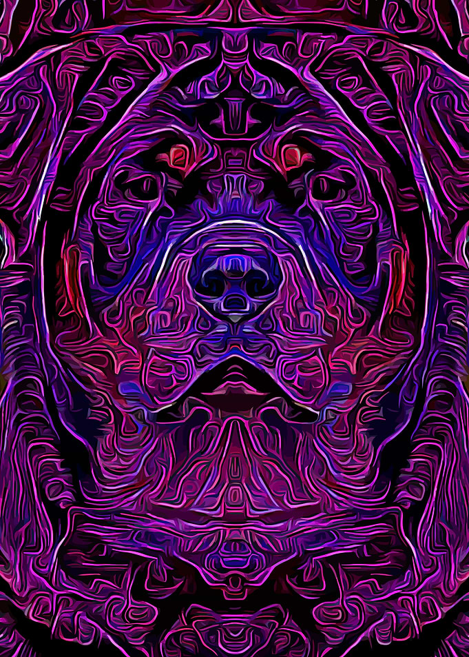 Rottweiler Fantasy