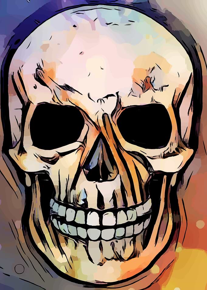 Skull