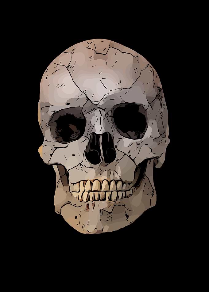 Skull
