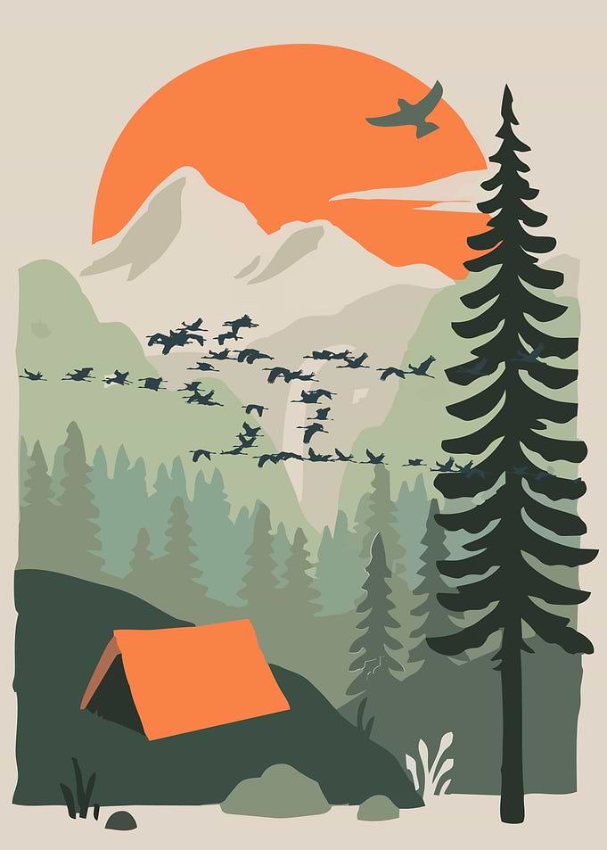 camping in the jungle art