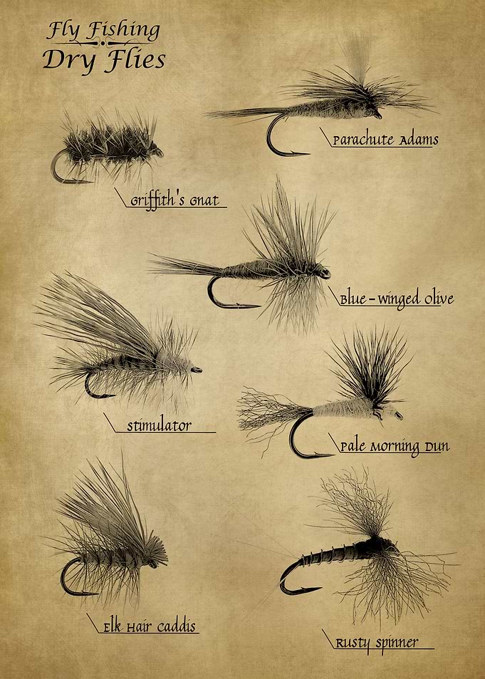 Fly Fishing Dry Flies