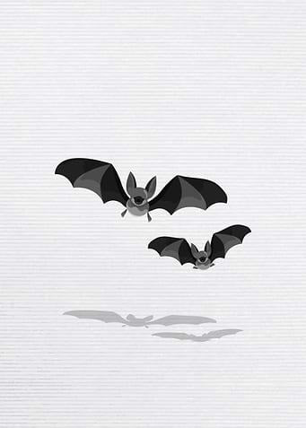 Flying bats