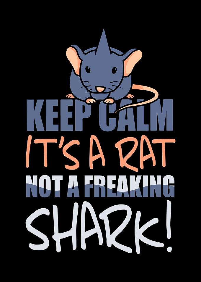 Rat Rodent Rats
