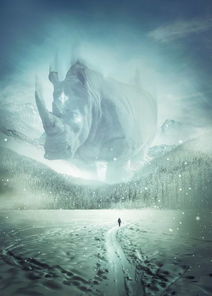 Fog Rhino