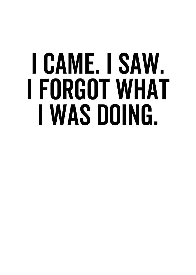 I Came I Saw I Forgot What