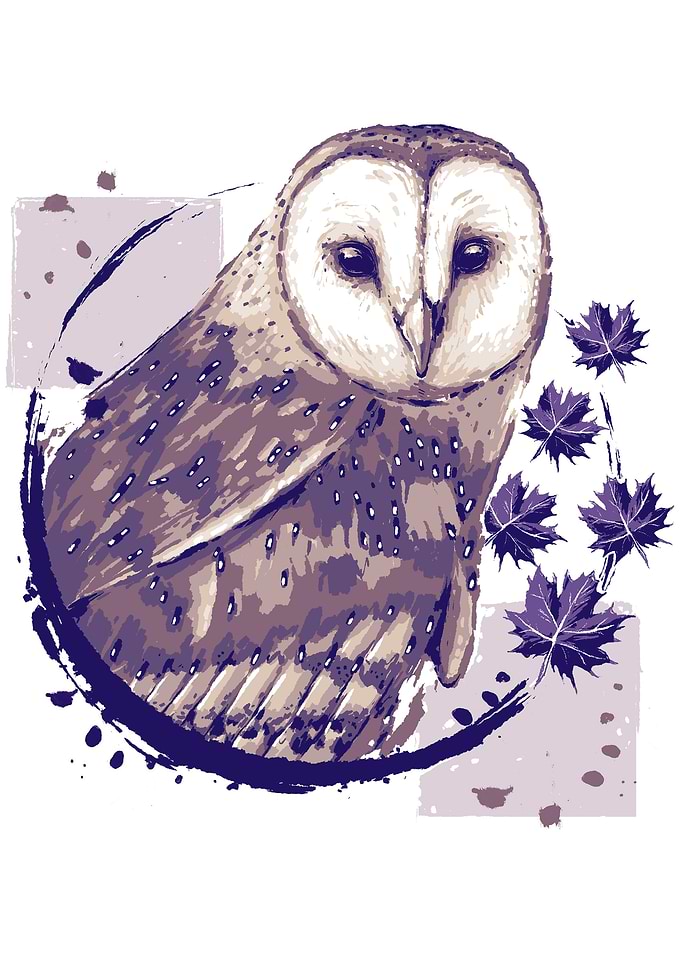Barn Owl Painting