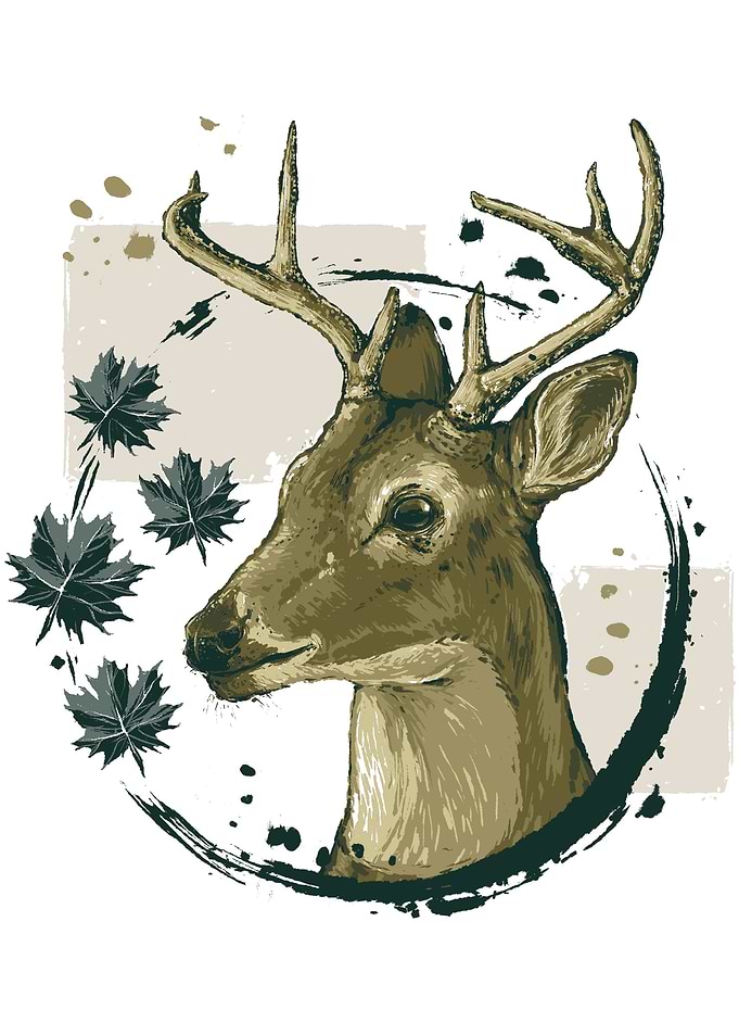 Deer Painting