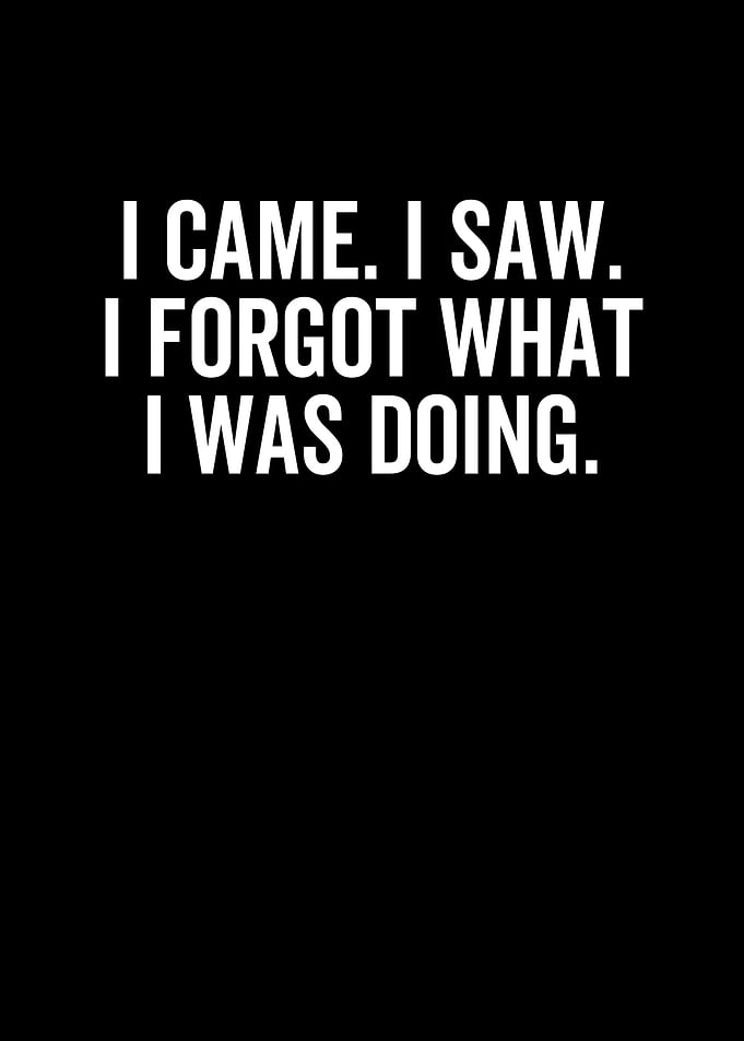 I Came I Saw I Forgot What