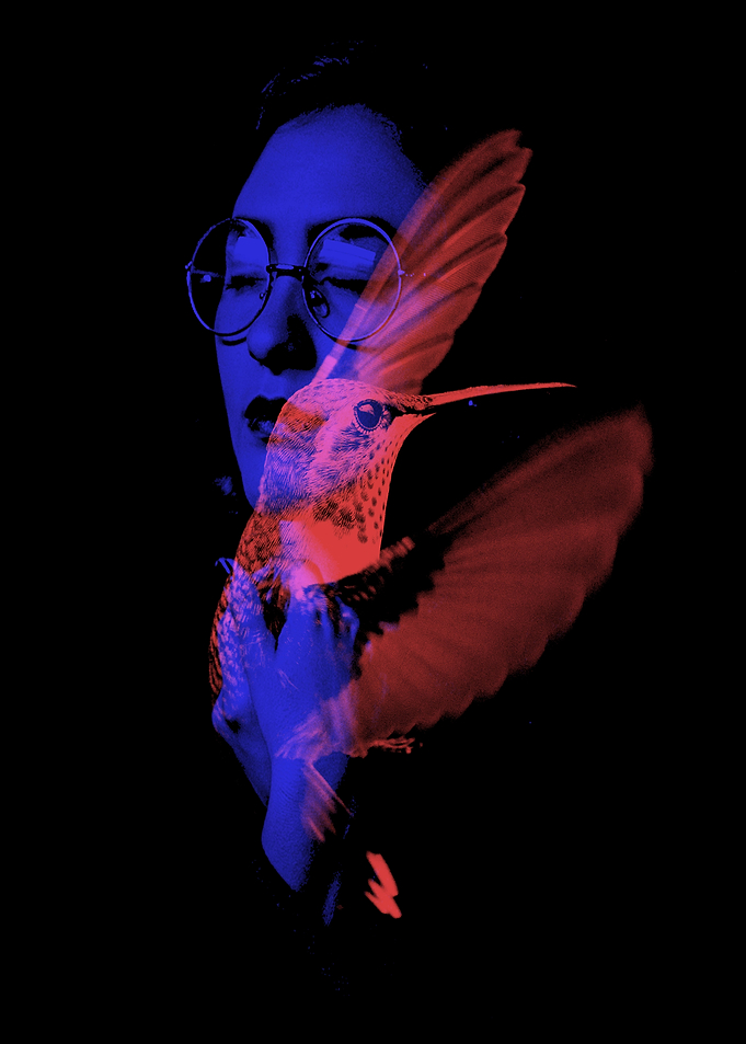 Hummingbird