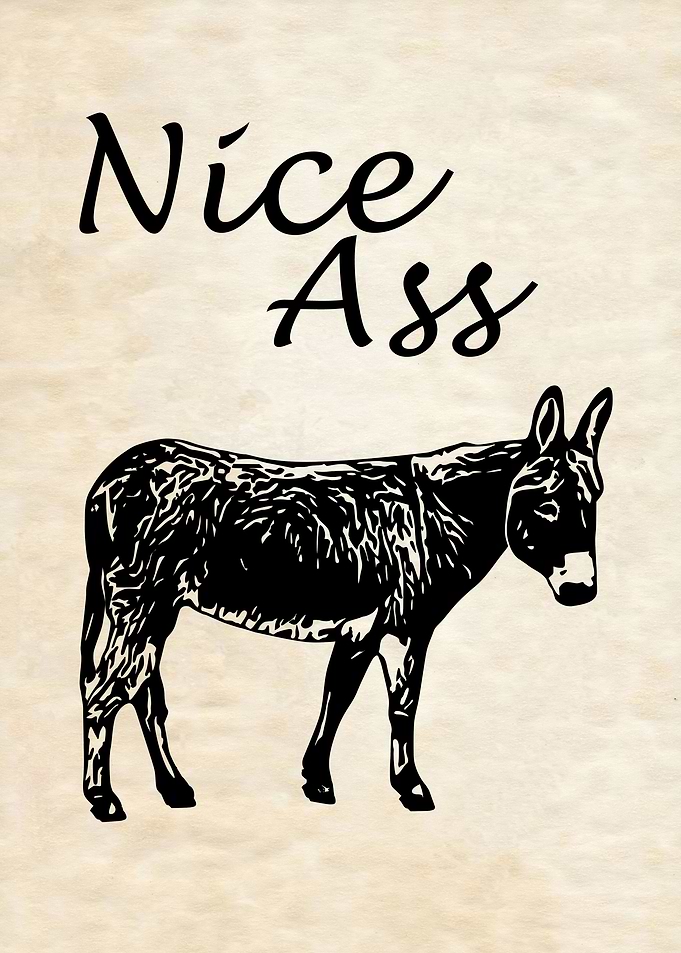 NICE ASS 08