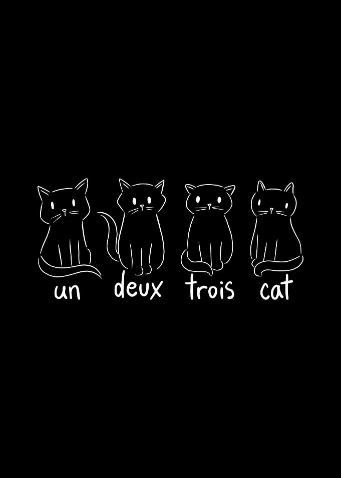 Un Deux Trois Cat French