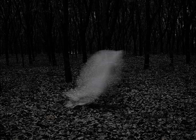 Visions in the night