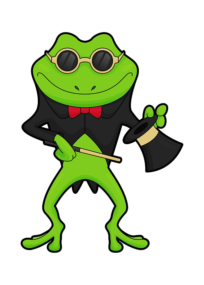 Frog Magician Hat