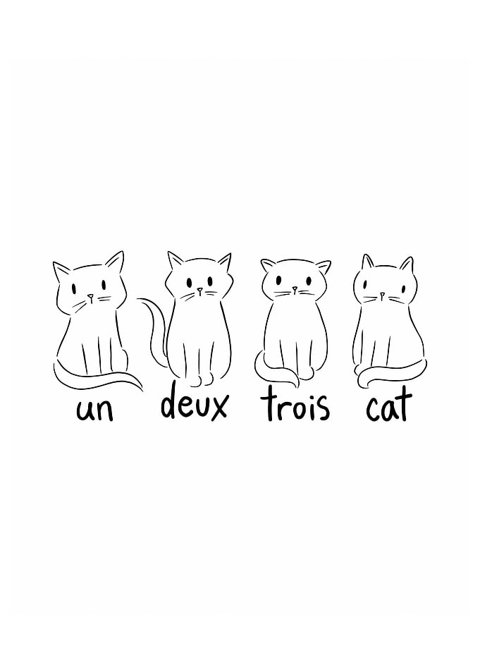 Un Deux Trois Cat French