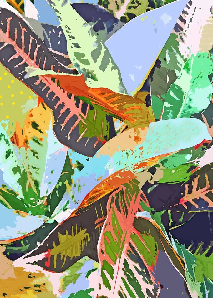 Jungle Plants