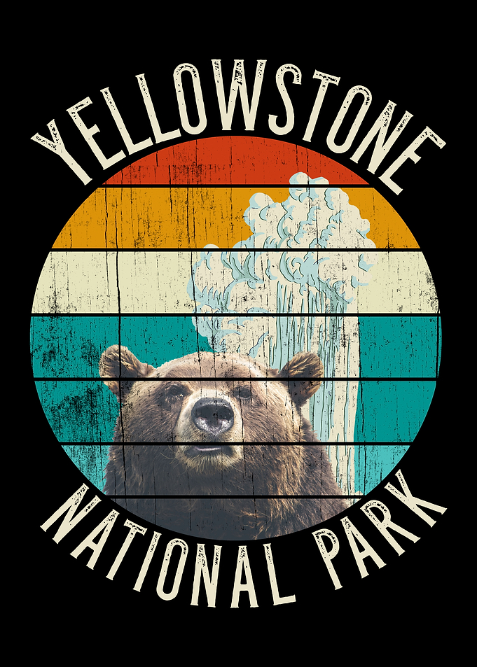 Yellowstone Grizzly Geyser