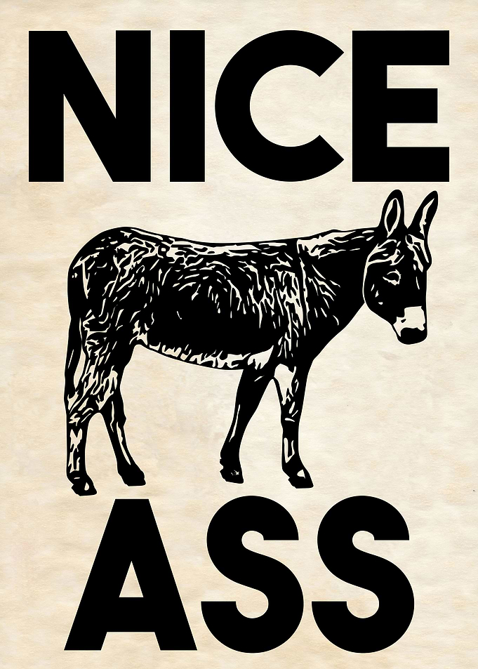 NICE ASS 07
