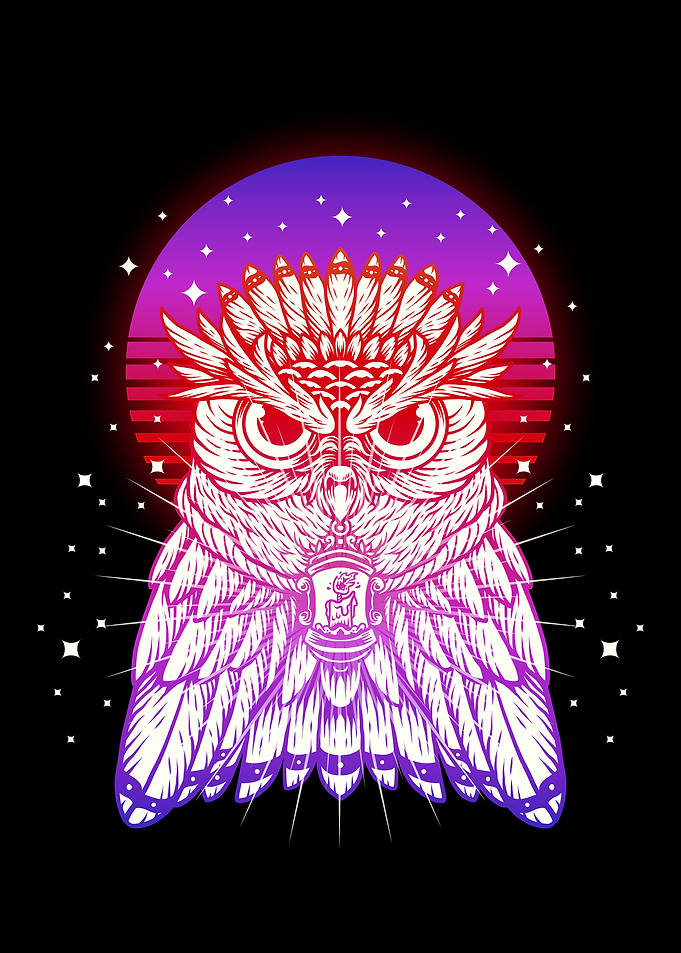 Chief Owl Sunshine