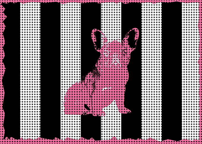 French BullDog Pop Art