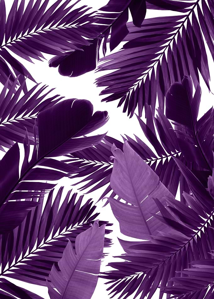 Jungle Leaves Finesse 5