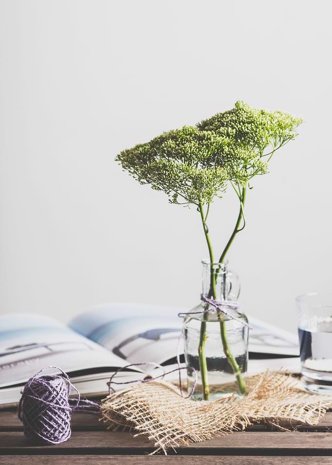 Bonsai in a Glass